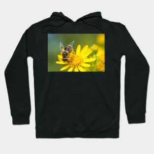 Ragwort feast Hoodie